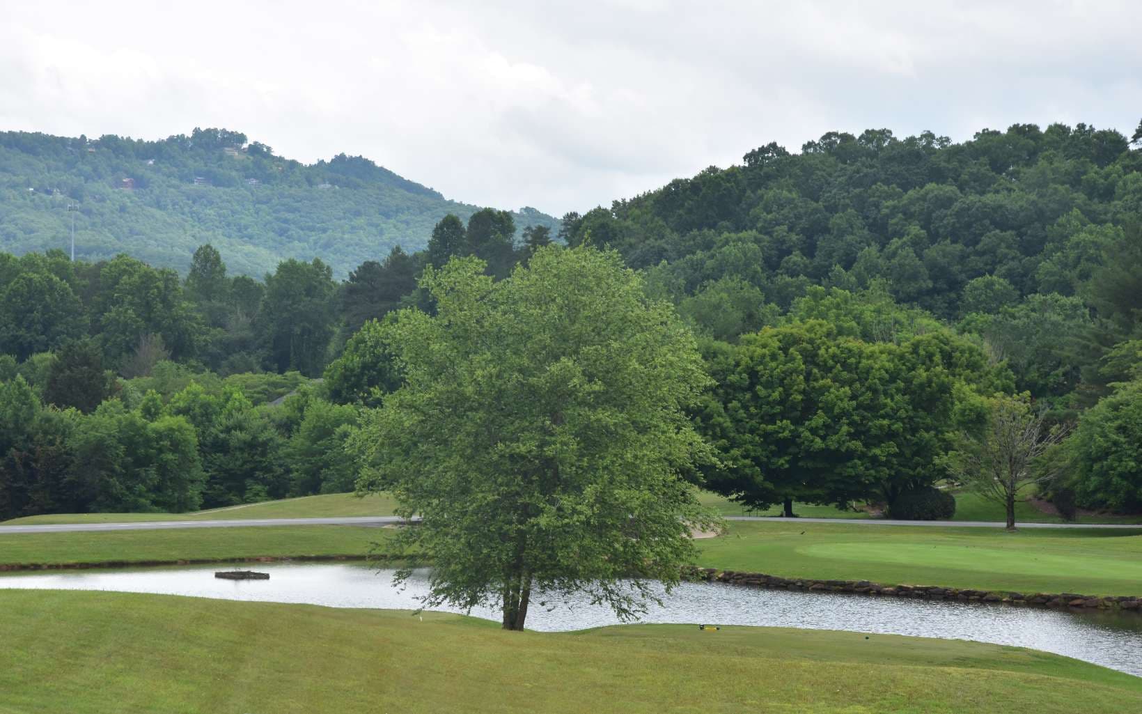 85A Licklog Ridge, Hayesville NC 28904 - Photo