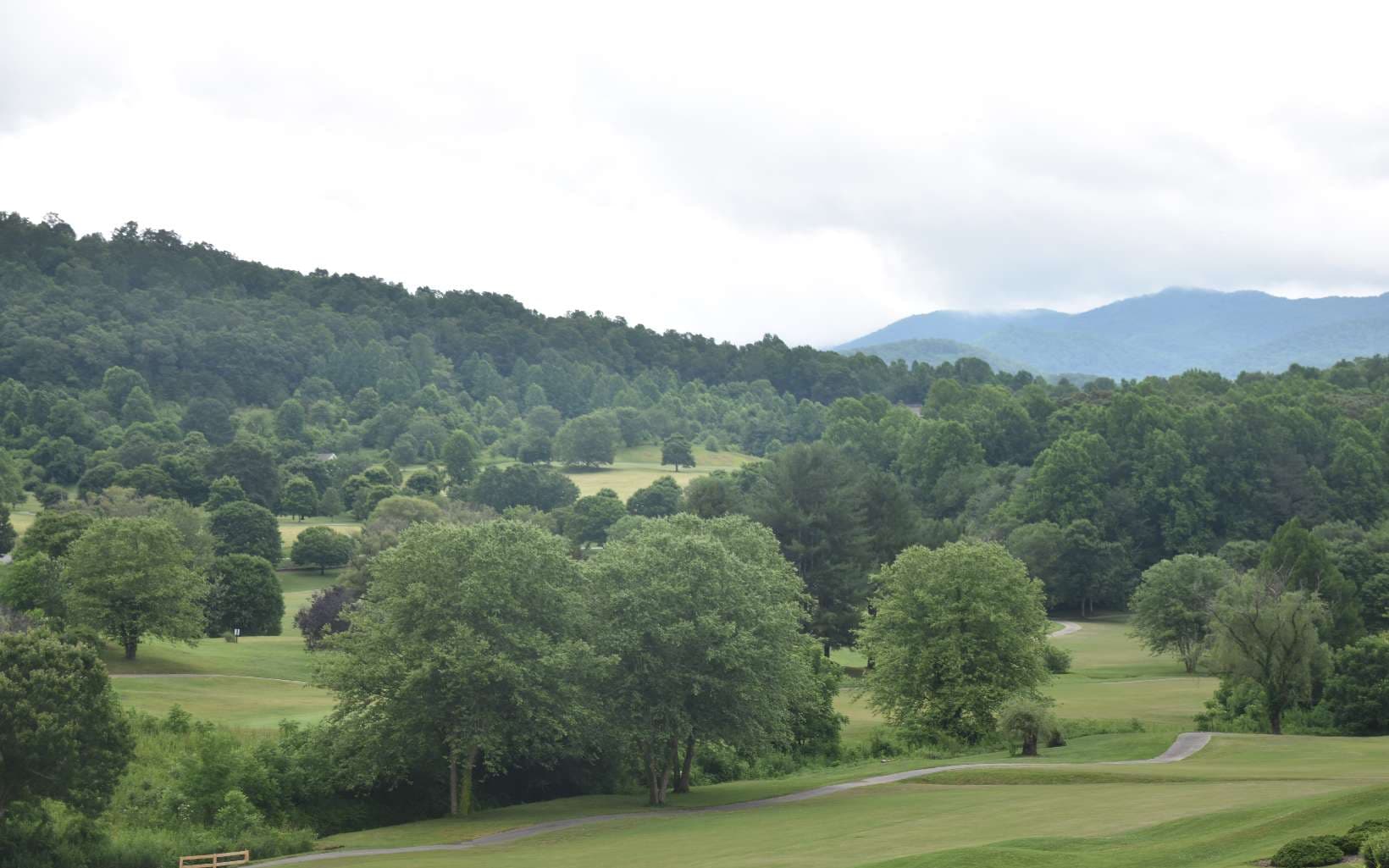 85A Licklog Ridge, Hayesville NC 28904 - Photo