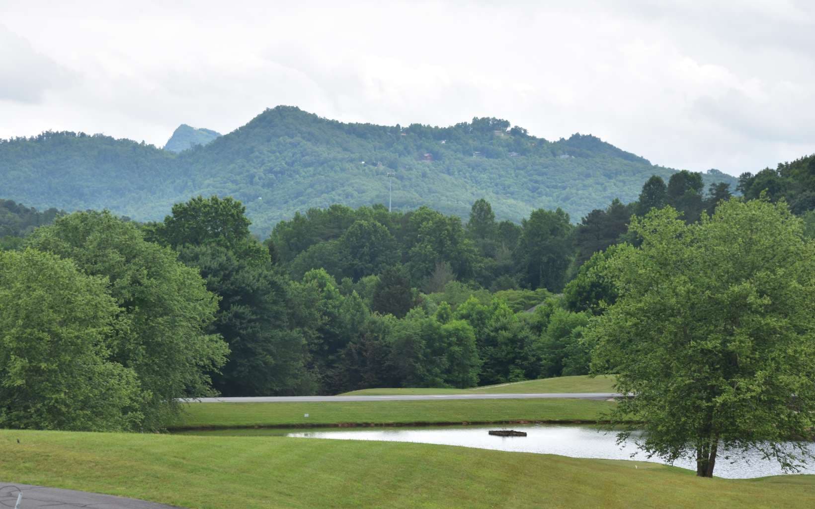 85A Licklog Ridge, Hayesville NC 28904 - Photo