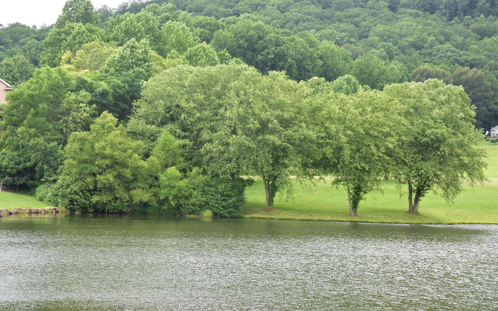 85A Licklog Ridge, Hayesville NC 28904 - Photo