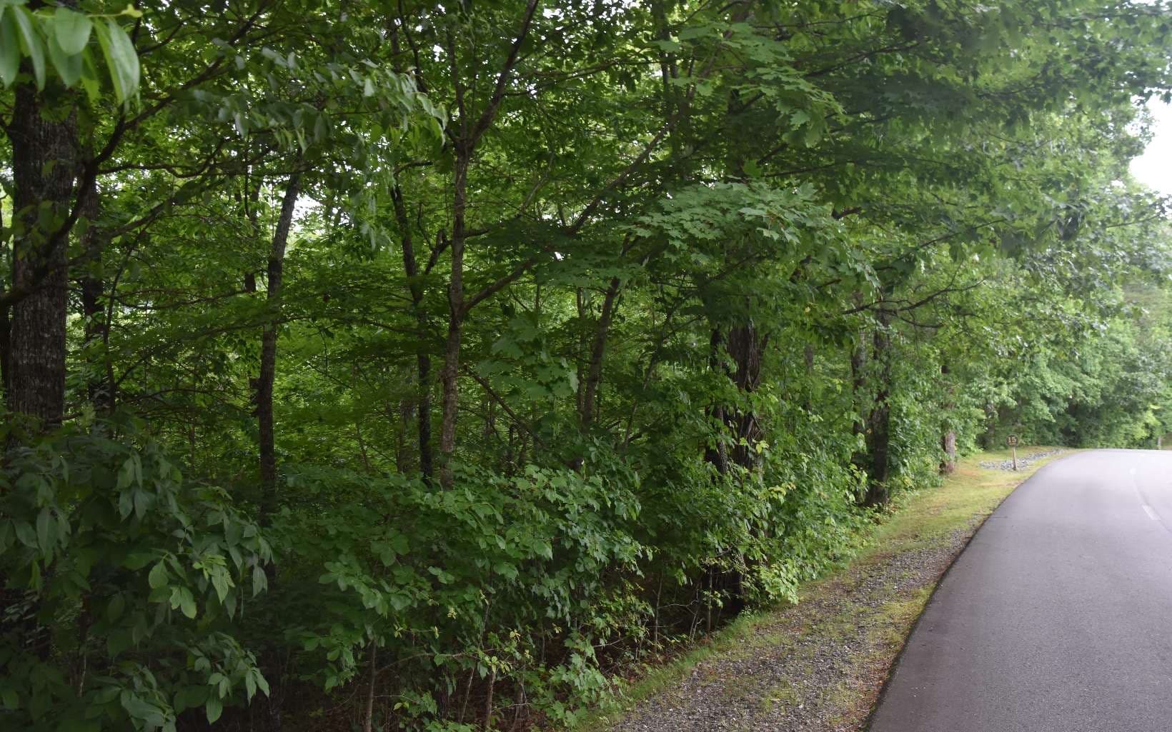 85A Licklog Ridge, Hayesville NC 28904 - Photo