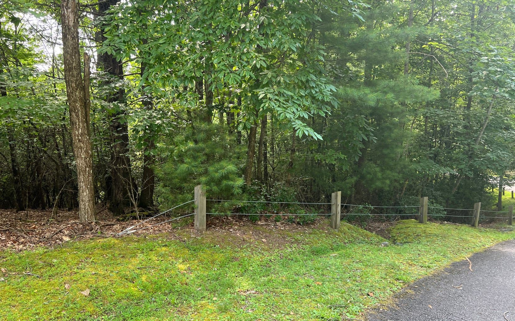 Lot 40 Double Knobs Drive, Hayesville NC 28904 - Photo