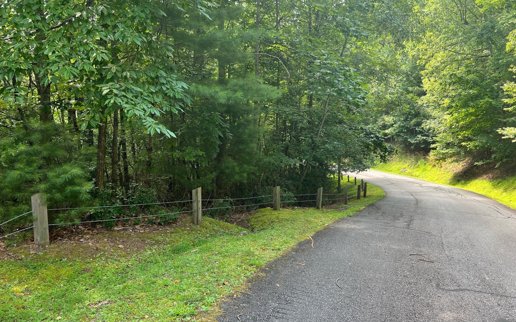 Lot 40 Double Knobs Drive, Hayesville NC 28904 - Photo