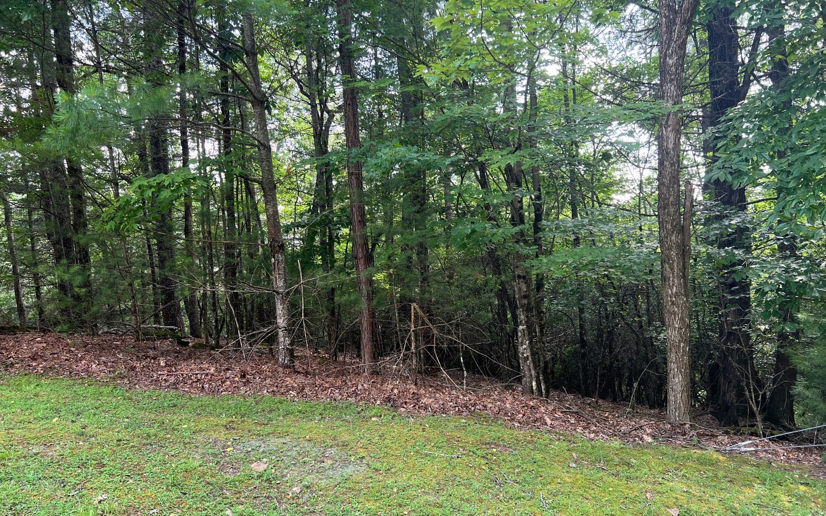 Lot 40 Double Knobs Drive, Hayesville NC 28904 - Primary photo