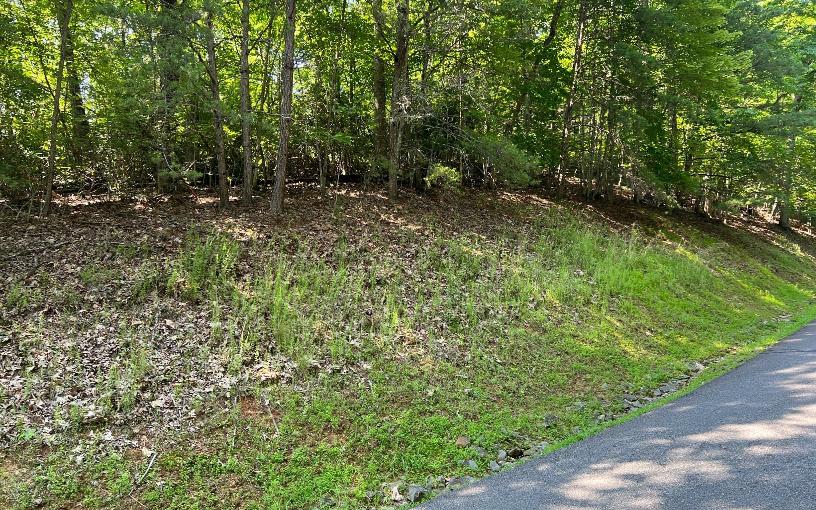 Lot 40 Double Knobs Drive, Hayesville NC 28904 - Photo