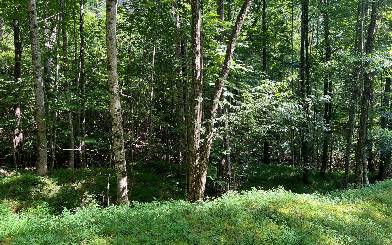 Lot 40 Double Knobs Drive, Hayesville NC 28904 - Photo