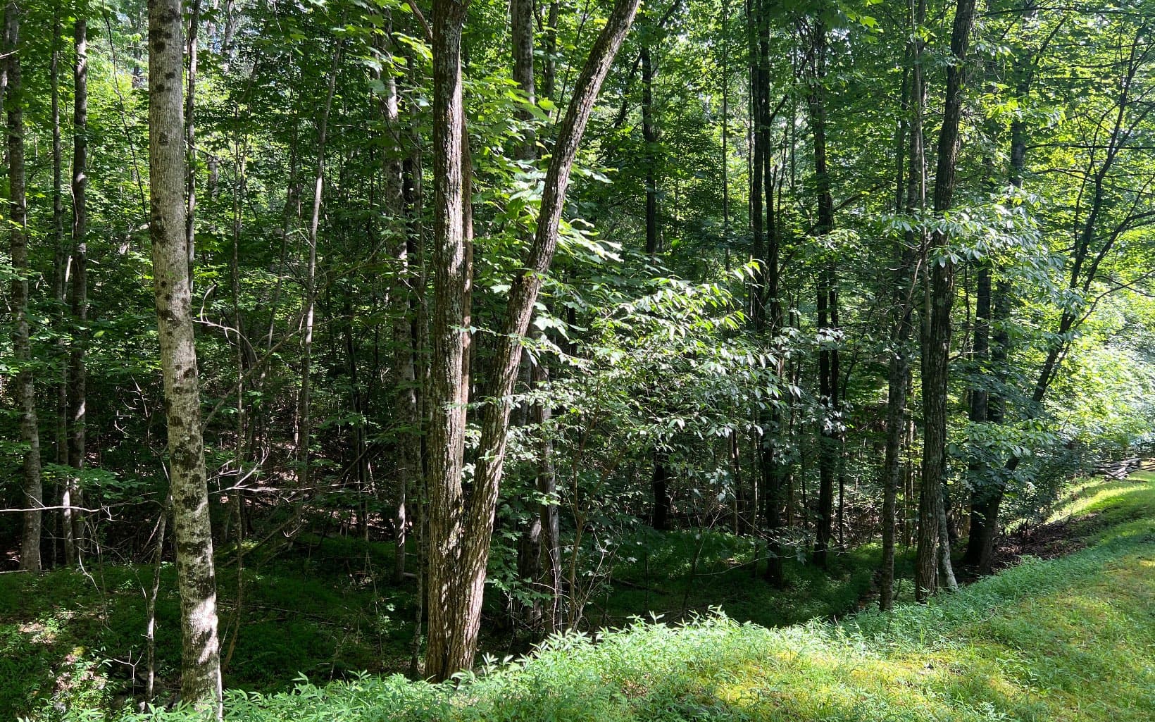 Lot 40 Double Knobs Drive, Hayesville NC 28904 - Photo