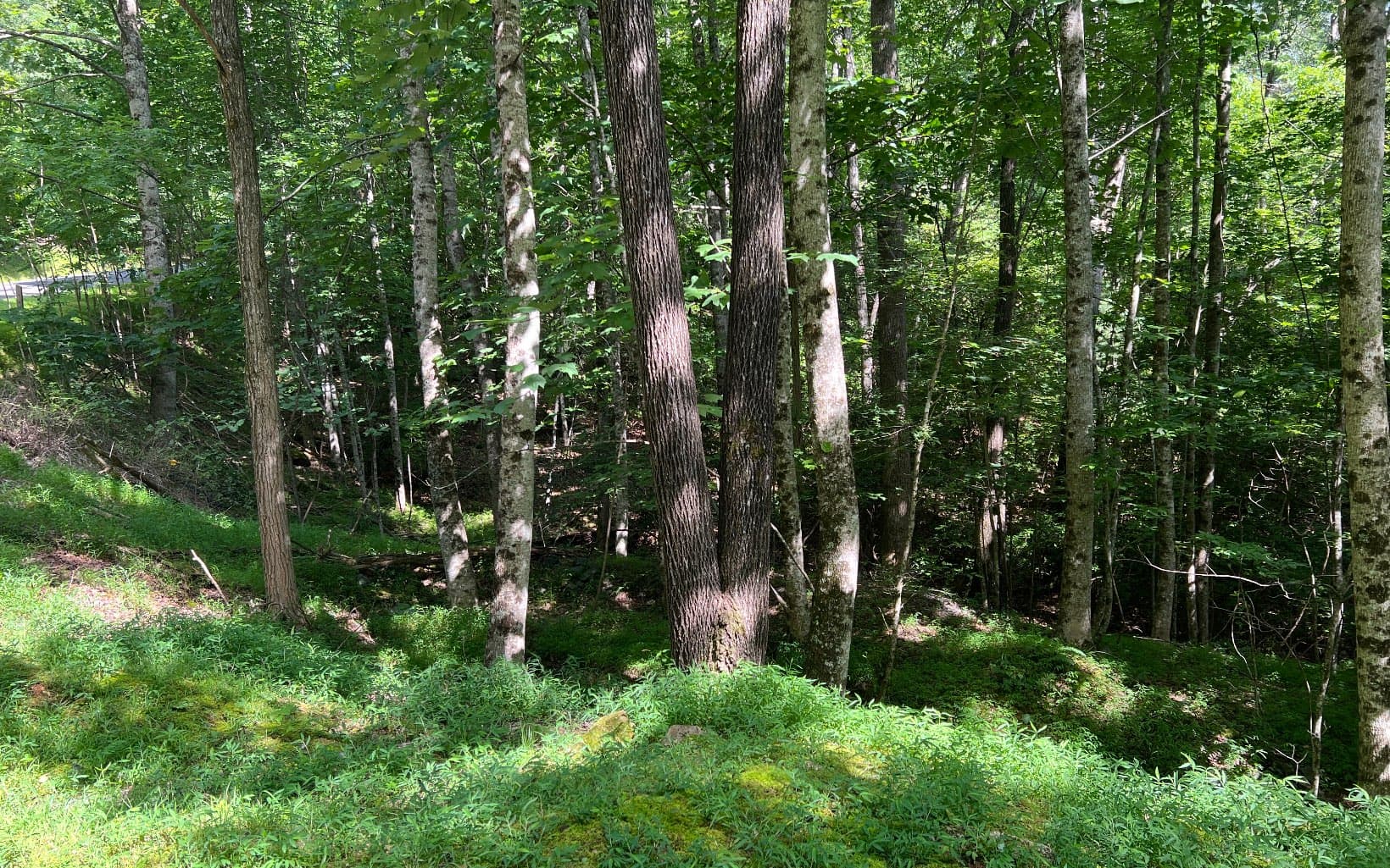 Lot 40 Double Knobs Drive, Hayesville NC 28904 - Photo