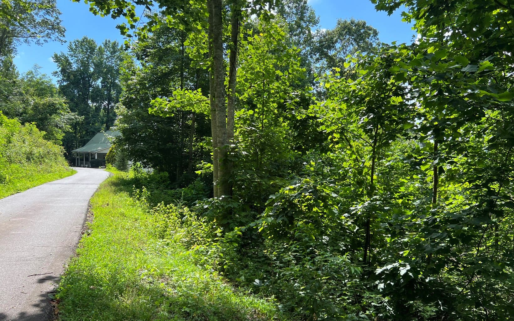 Lot 73 Eagles View, Hayesville NC 28904 - Photo
