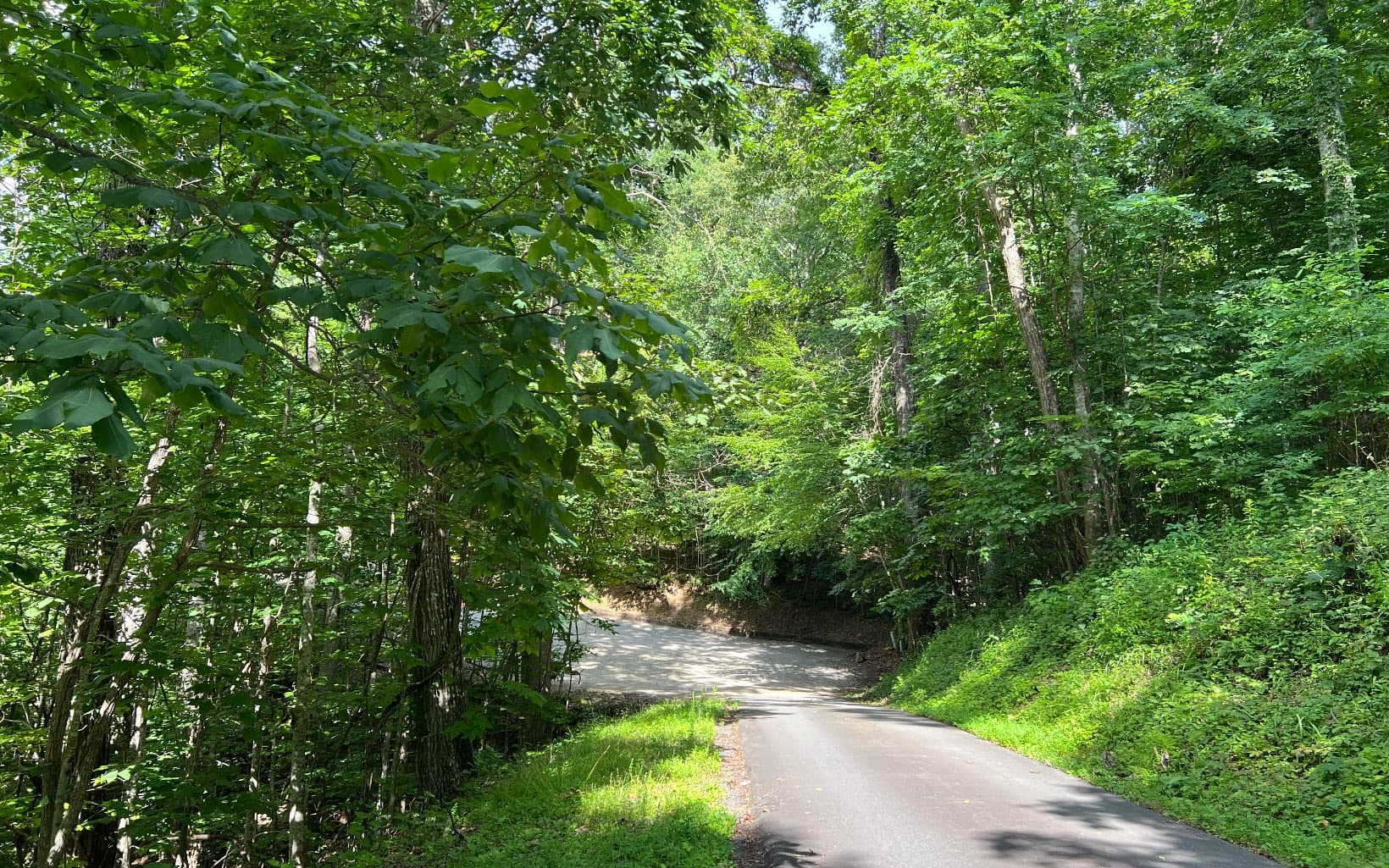 Lot 73 Eagles View, Hayesville NC 28904 - Photo