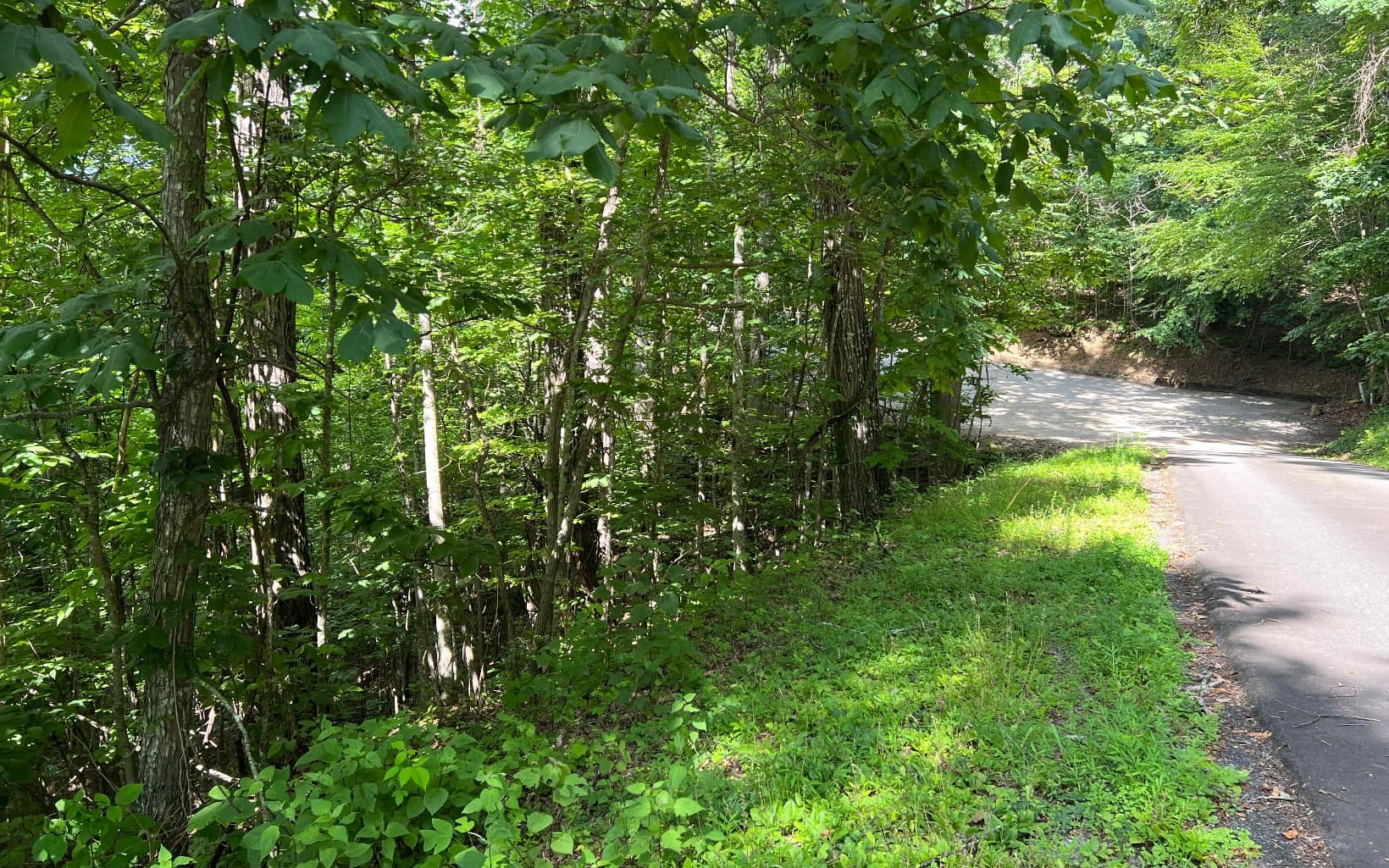 Lot 73 Eagles View, Hayesville NC 28904 - Photo