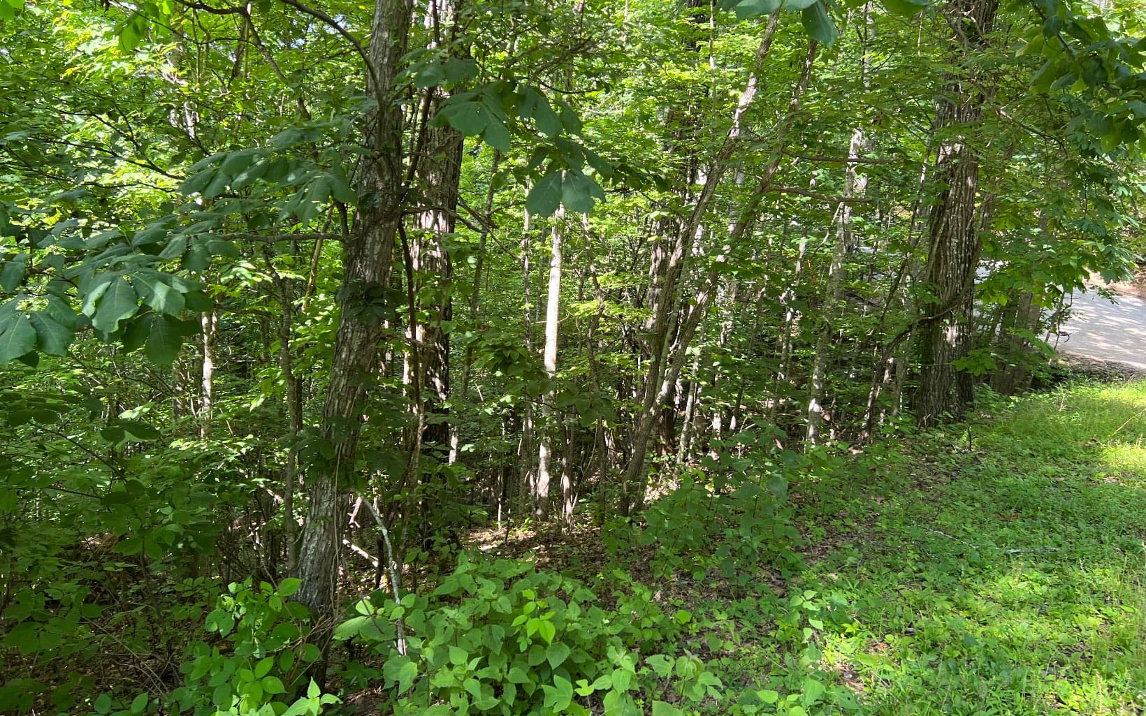 Lot 73 Eagles View, Hayesville NC 28904 - Photo