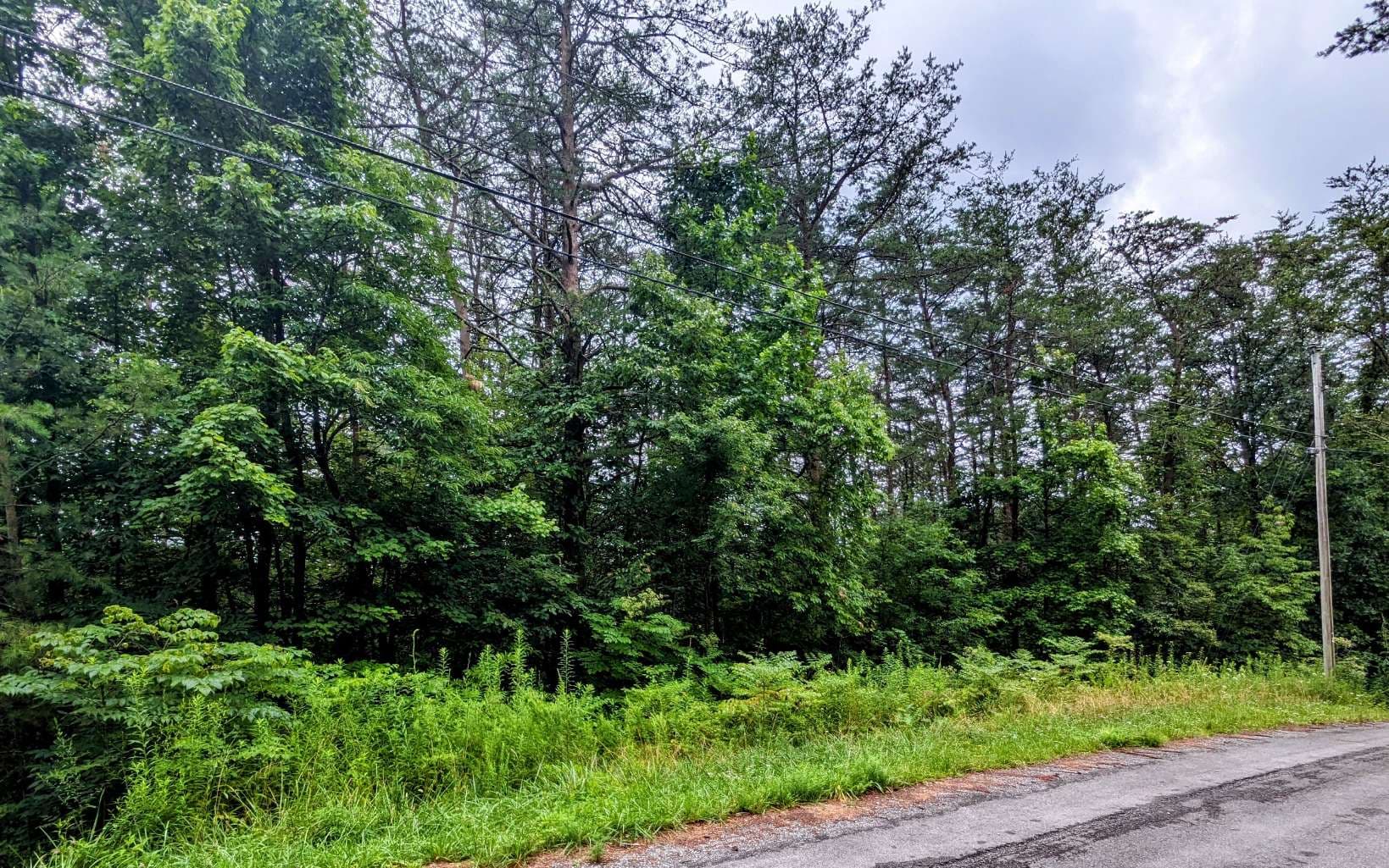 LOT32 Lakeview Drive, Turtletown TN 37391 - Photo