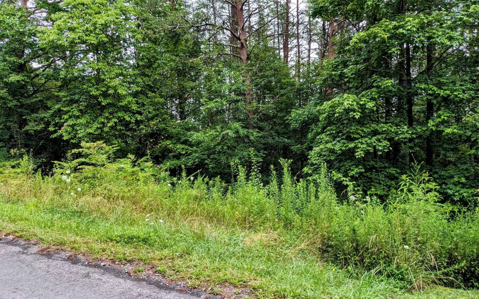 LOT32 Lakeview Drive, Turtletown TN 37391 - Photo