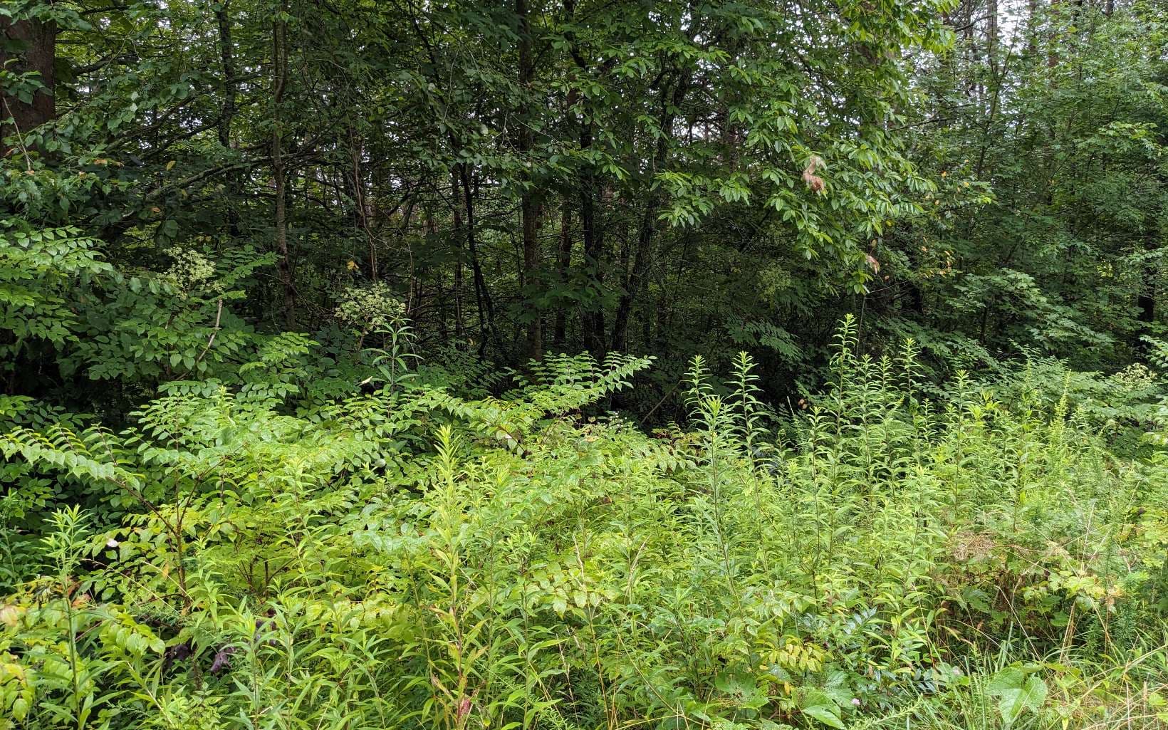 LOT32 Lakeview Drive, Turtletown TN 37391 - Photo