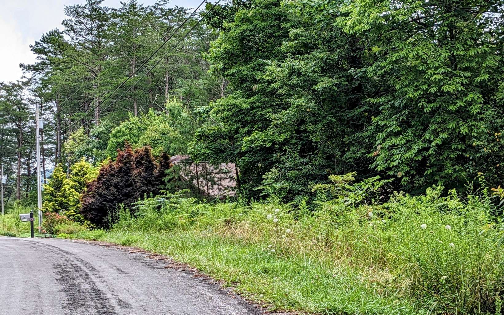 LOT32 Lakeview Drive, Turtletown TN 37391 - Photo