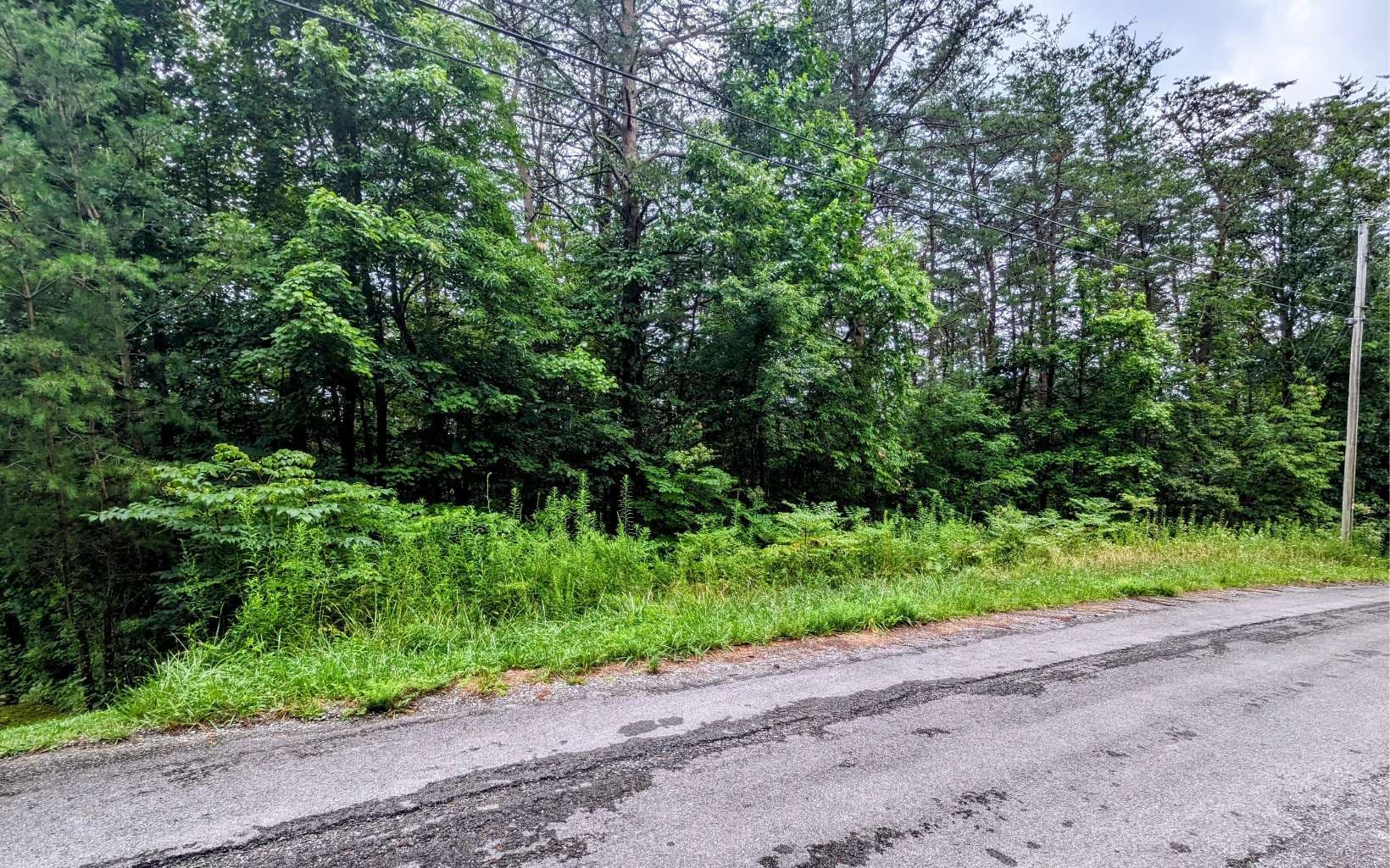 LOT32 Lakeview Drive, Turtletown TN 37391 - Primary photo
