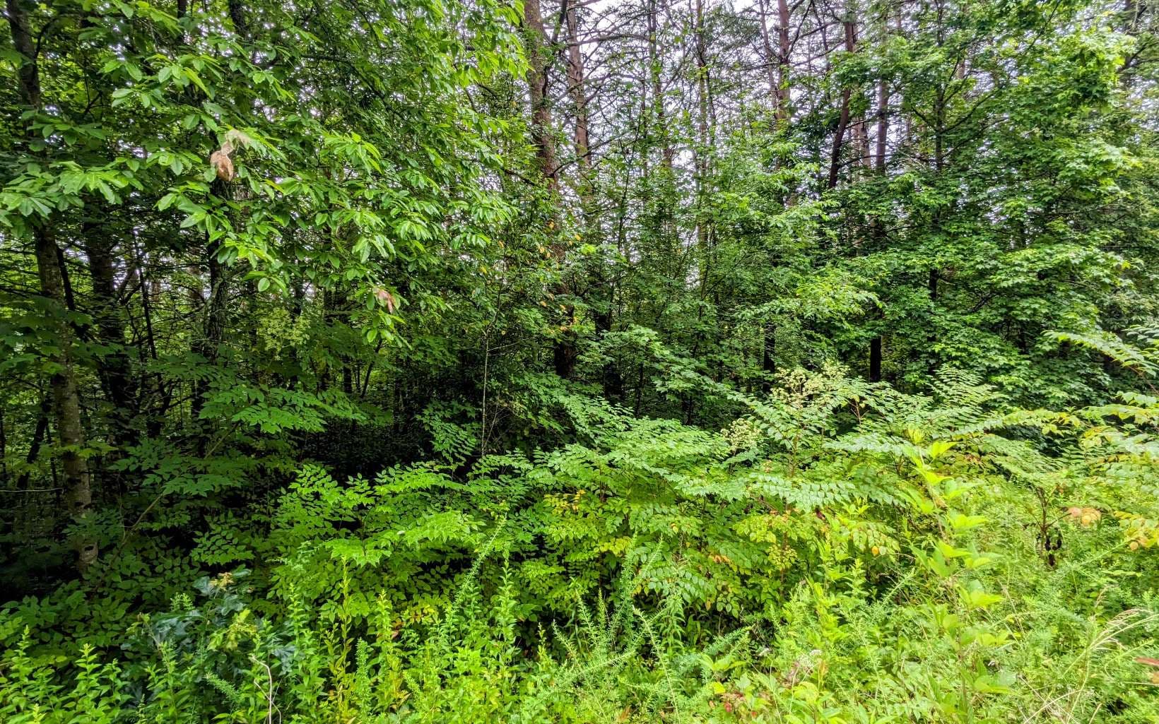 LOT32 Lakeview Drive, Turtletown TN 37391 - Photo