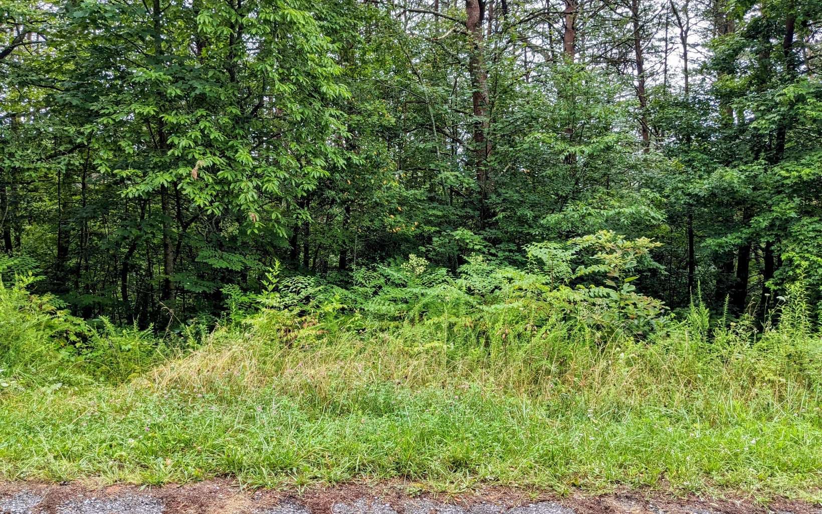 LOT32 Lakeview Drive, Turtletown TN 37391 - Photo