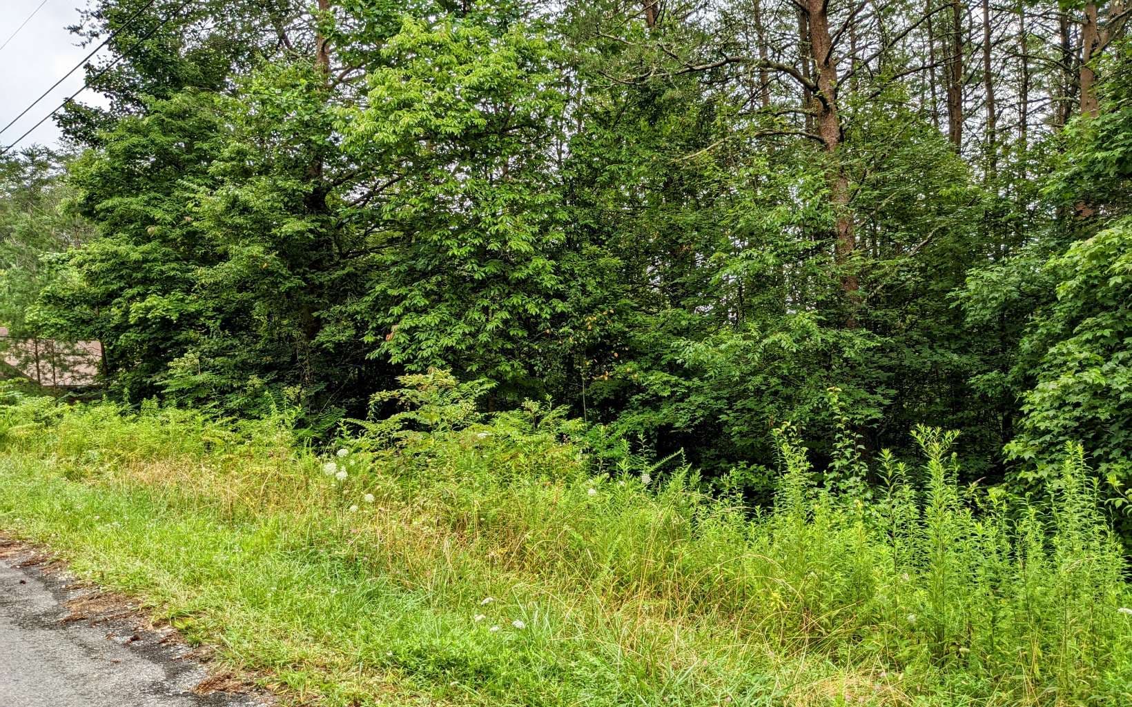LOT32 Lakeview Drive, Turtletown TN 37391 - Photo