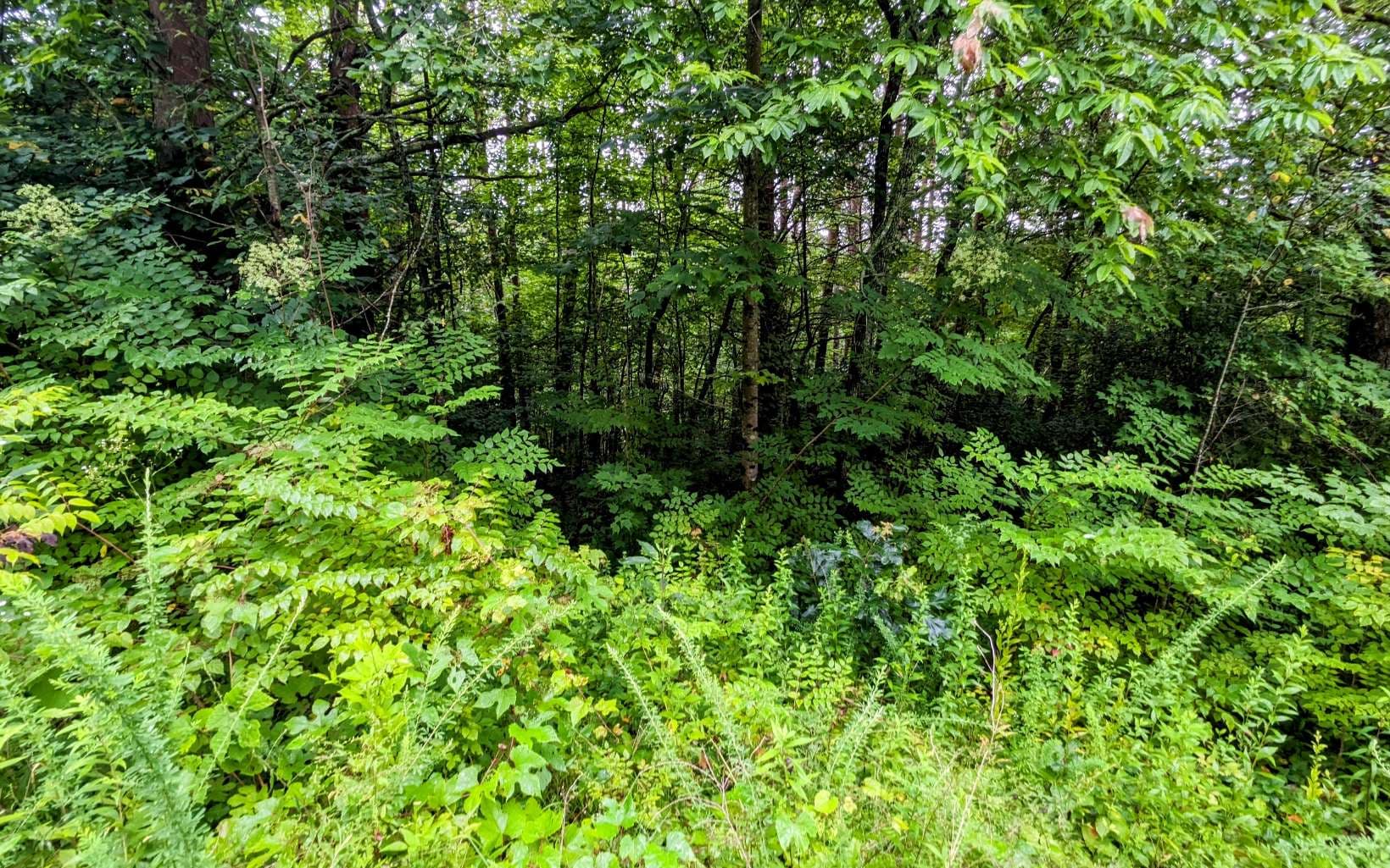 LOT32 Lakeview Drive, Turtletown TN 37391 - Photo