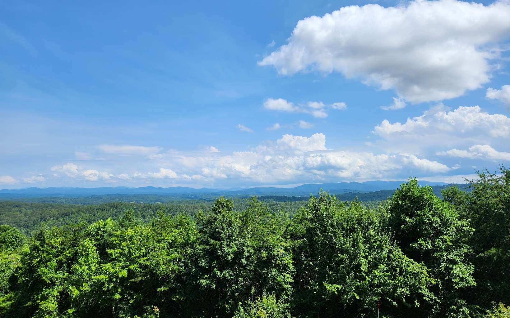 Lot 31 Lookout Drive, Blue Ridge GA 30513 - Photo