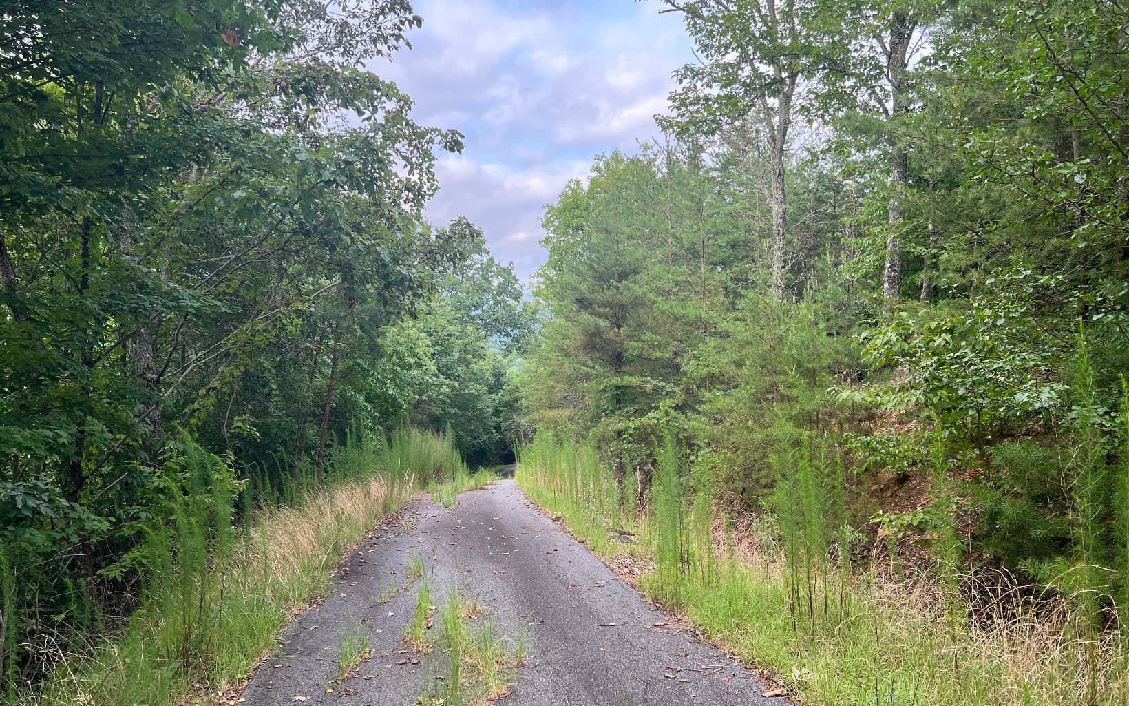 Lot 8 The Preserve At Beach Mountain, Brasstown NC 28902 - Photo