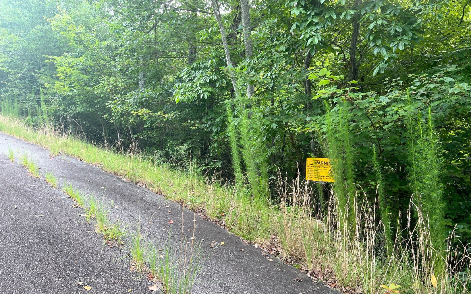 Lot 8 The Preserve At Beach Mountain, Brasstown NC 28902 - Photo