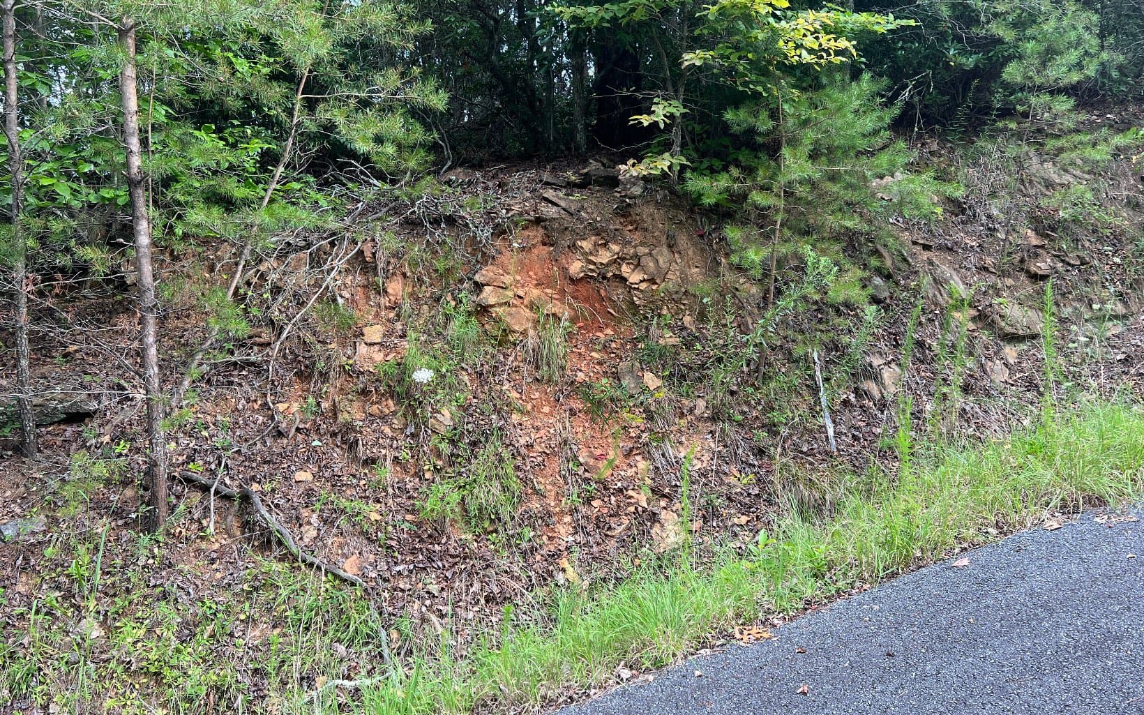 Lot 8 The Preserve At Beach Mountain, Brasstown NC 28902 - Photo