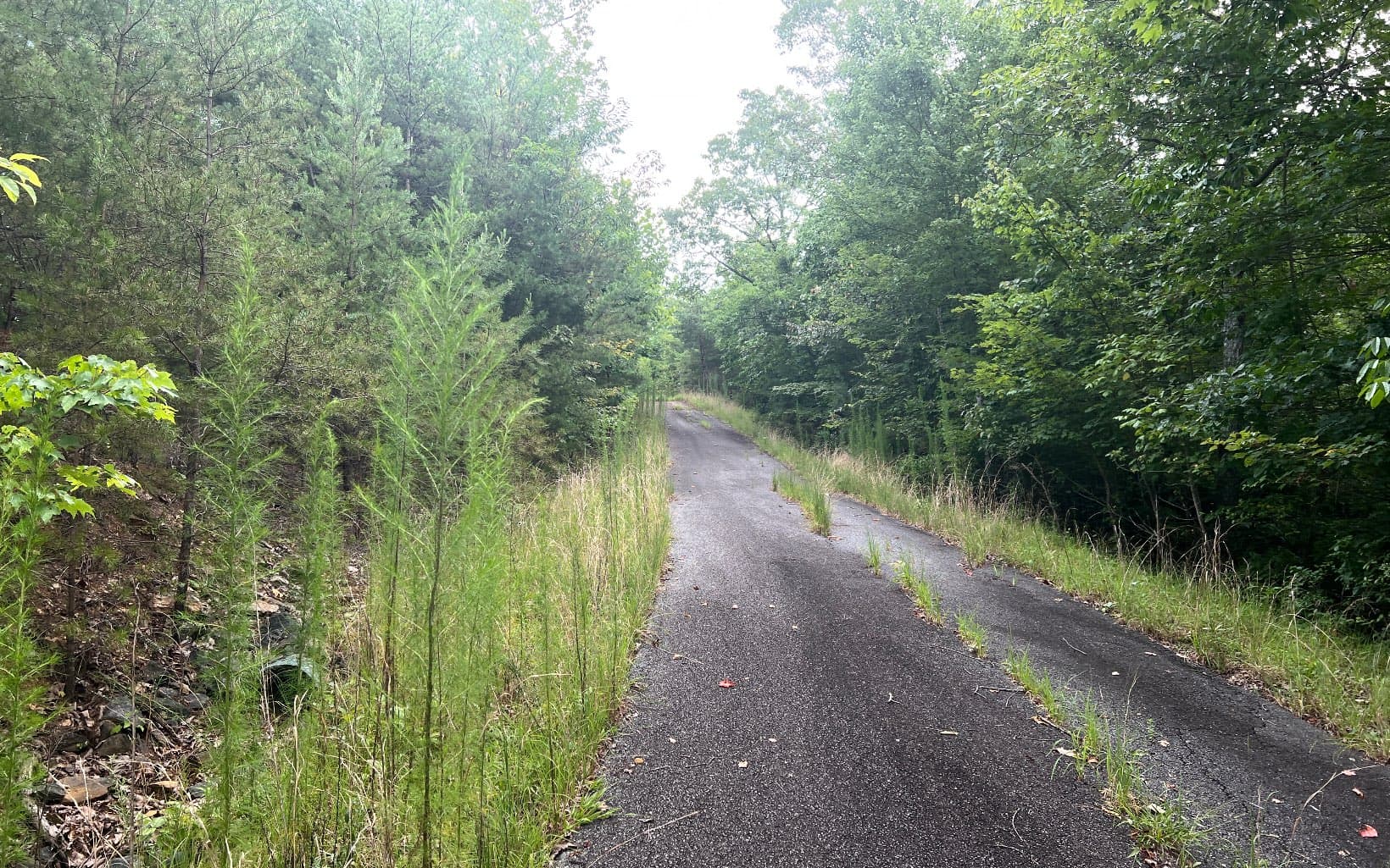 Lot 8 The Preserve At Beach Mountain, Brasstown NC 28902 - Photo