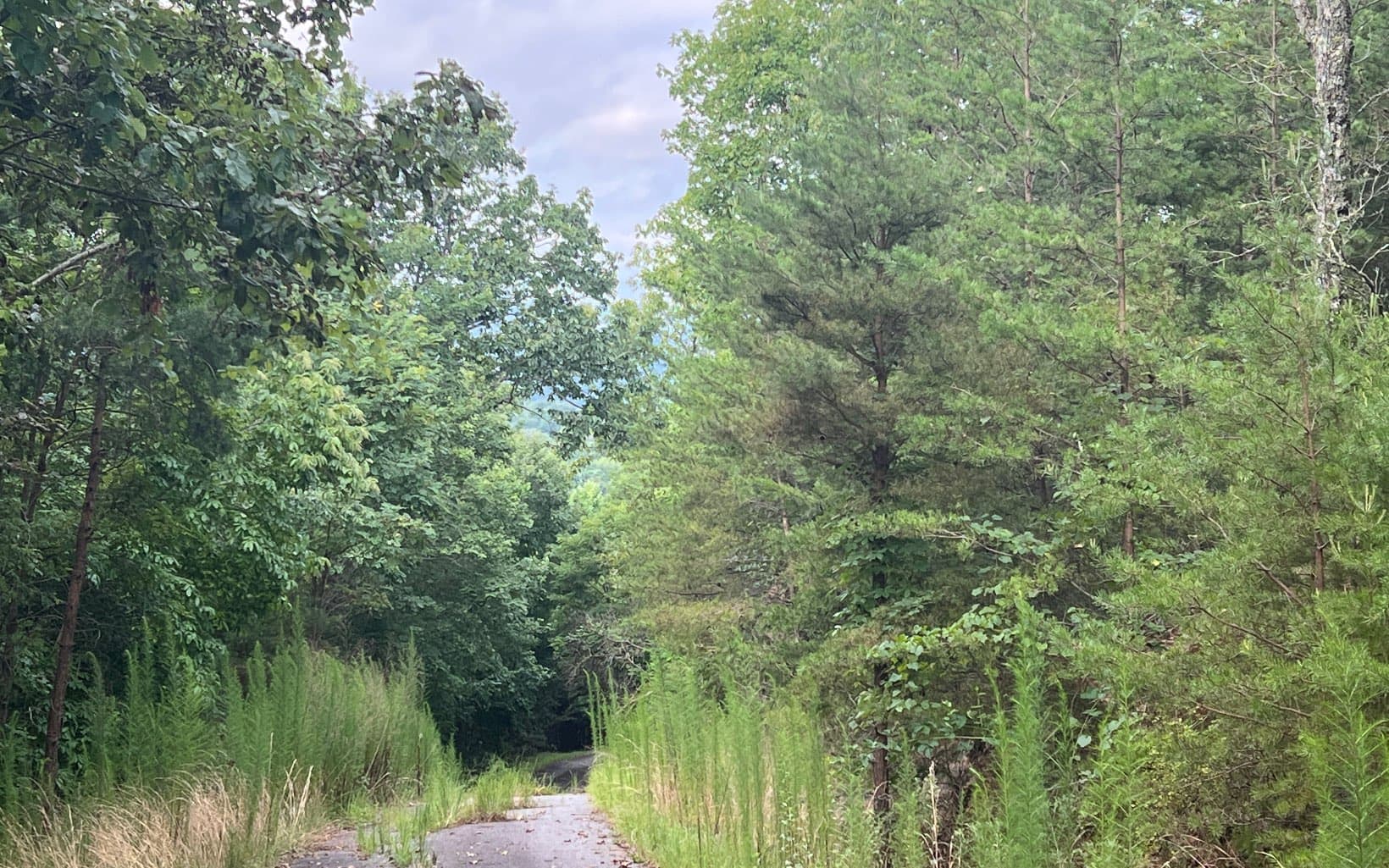 Lot 8 The Preserve At Beach Mountain, Brasstown NC 28902 - Photo