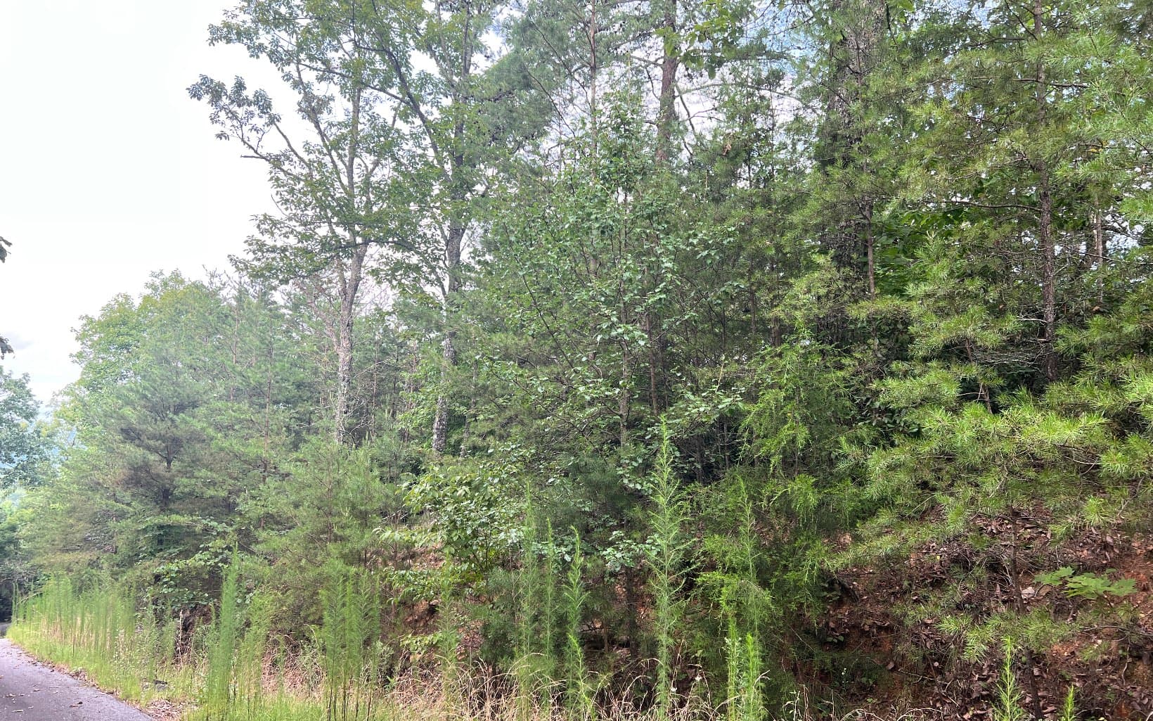 Lot 8 The Preserve At Beach Mountain, Brasstown NC 28902 - Photo