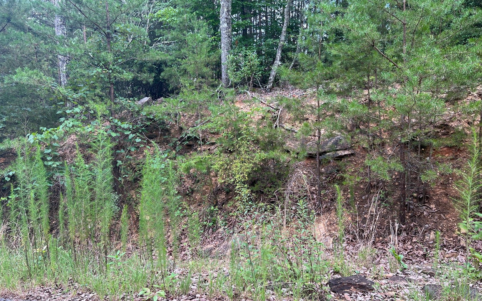 Lot 8 The Preserve At Beach Mountain, Brasstown NC 28902 - Photo