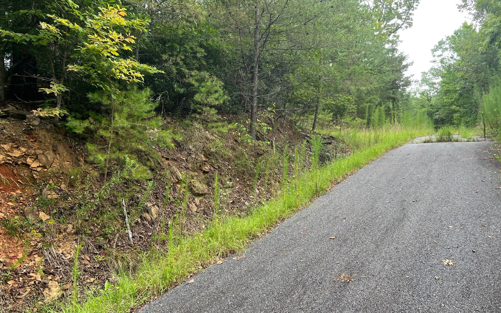 Lot 8 The Preserve At Beach Mountain, Brasstown NC 28902 - Photo