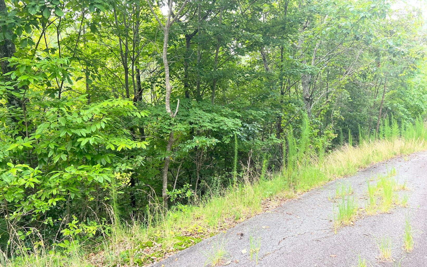 Lot 8 The Preserve At Beach Mountain, Brasstown NC 28902 - Photo