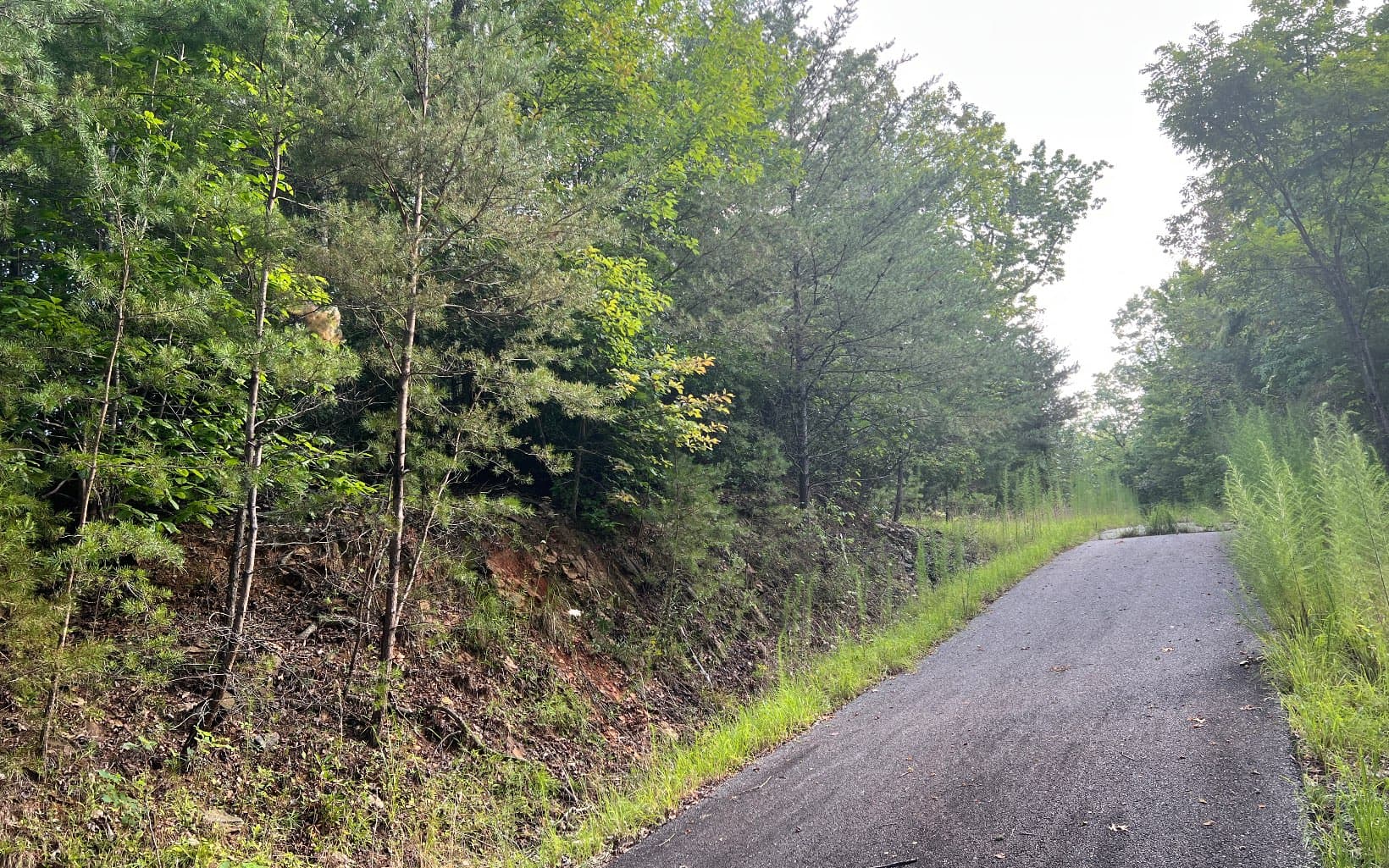 Lot 11 The Preserve At Beach Mountain, Brasstown NC 28902 - Photo