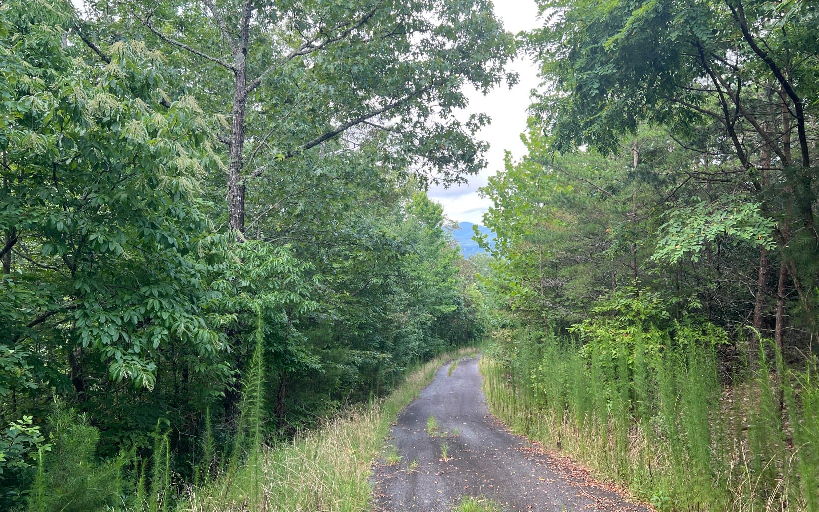 Lot 11 The Preserve At Beach Mountain, Brasstown NC 28902 - Photo
