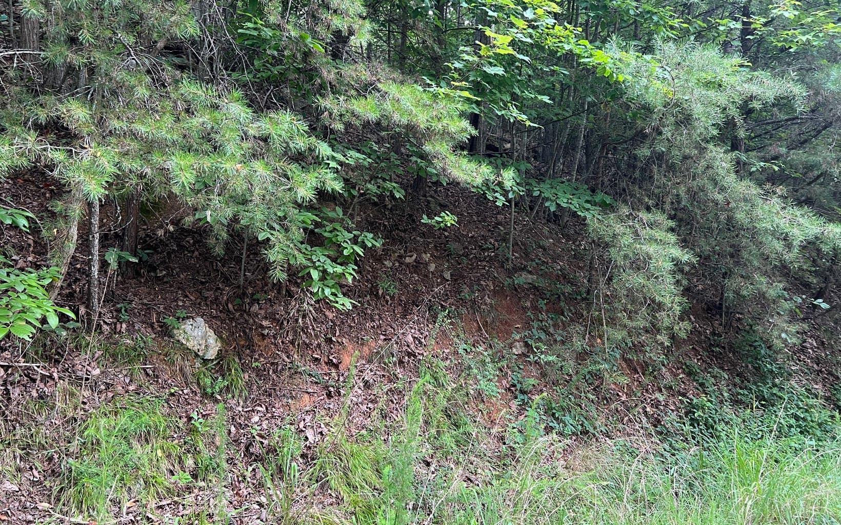 Lot 11 The Preserve At Beach Mountain, Brasstown NC 28902 - Photo