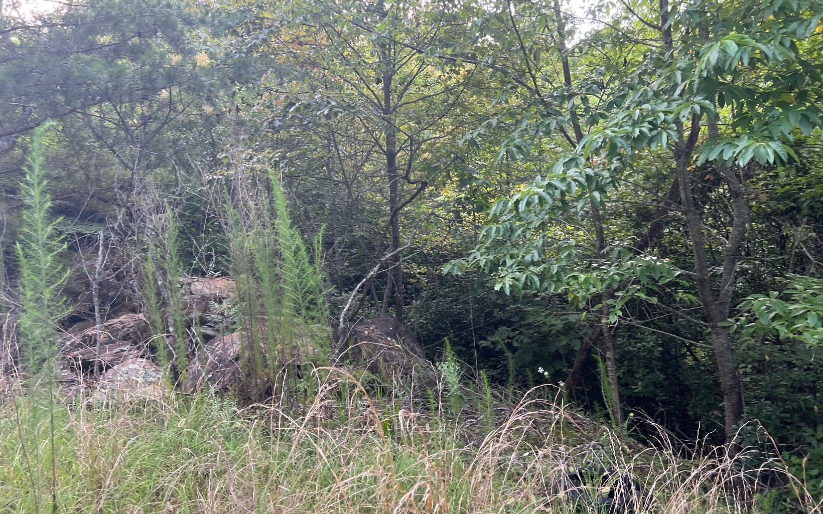 Lot 11 The Preserve At Beach Mountain, Brasstown NC 28902 - Photo