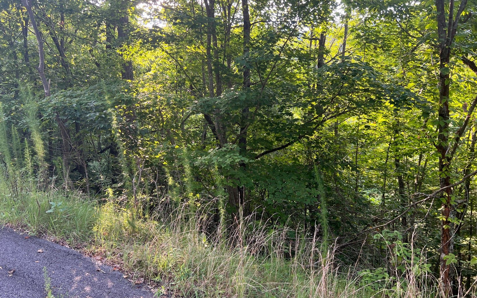 Lot 11 The Preserve At Beach Mountain, Brasstown NC 28902 - Photo