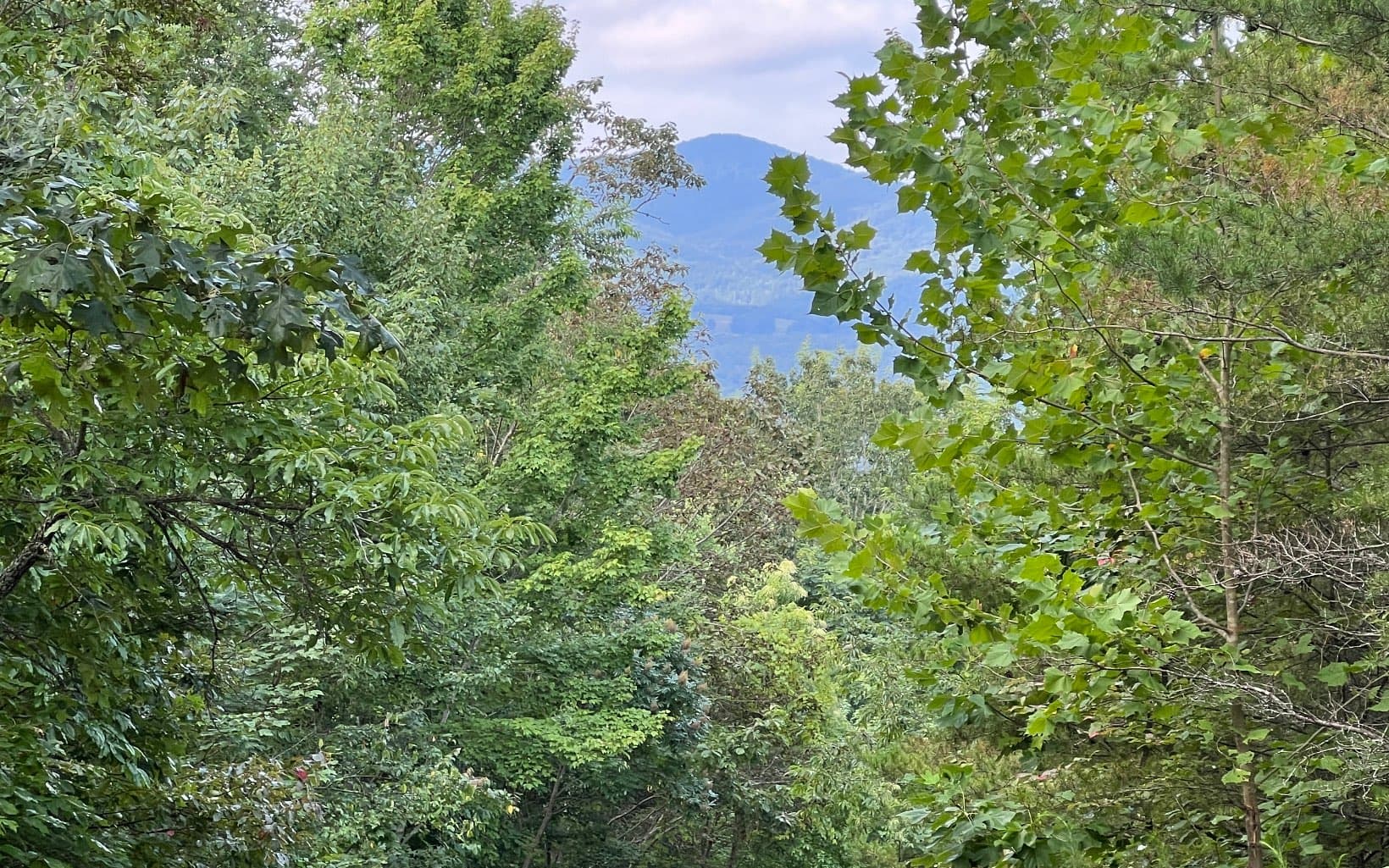Lot 11 The Preserve At Beach Mountain, Brasstown NC 28902 - Primary photo