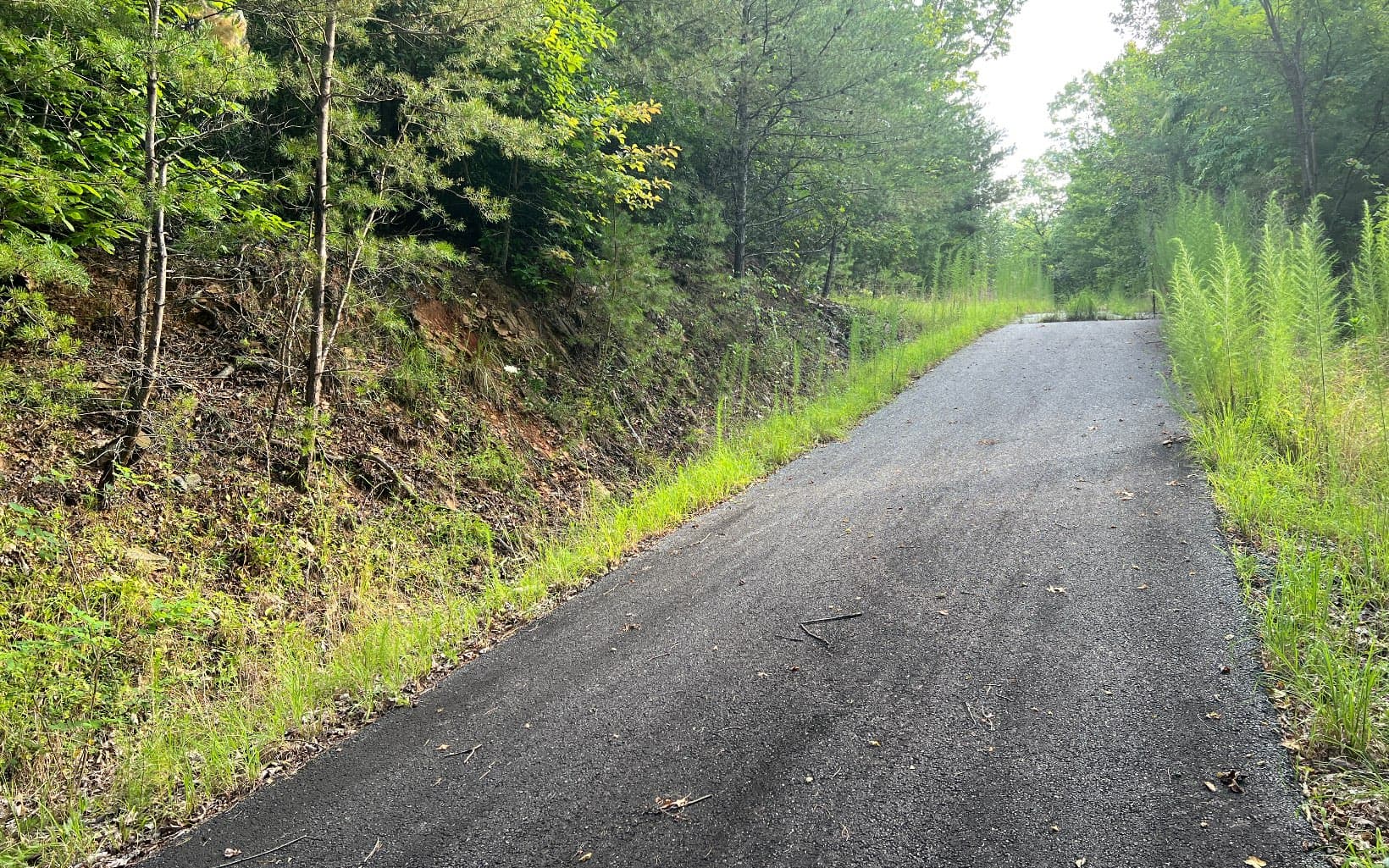 Lot 11 The Preserve At Beach Mountain, Brasstown NC 28902 - Photo
