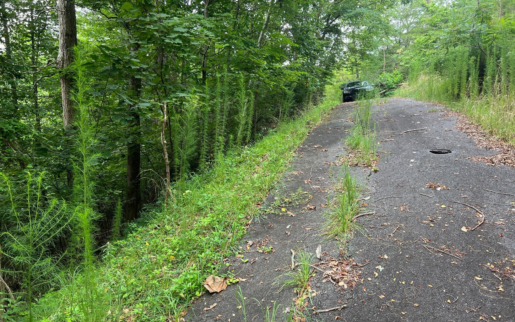 Lot 11 The Preserve At Beach Mountain, Brasstown NC 28902 - Photo