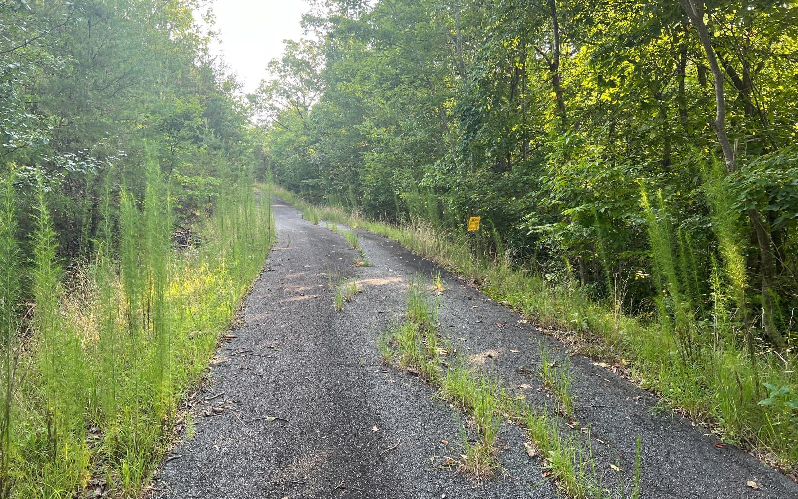 Lot 11 The Preserve At Beach Mountain, Brasstown NC 28902 - Photo