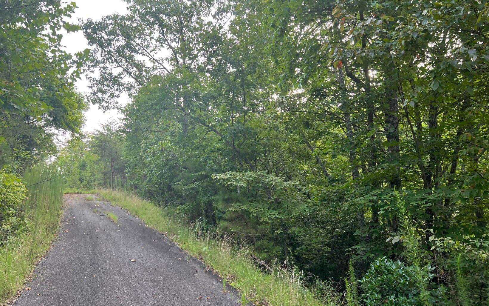 Lot 11 The Preserve At Beach Mountain, Brasstown NC 28902 - Photo