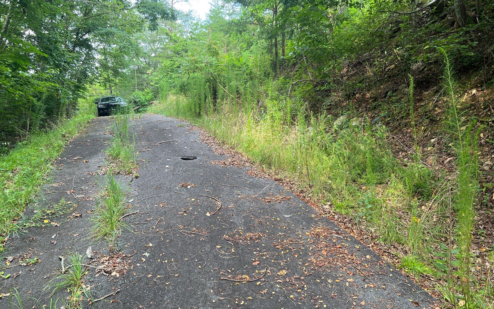 Lot 11 The Preserve At Beach Mountain, Brasstown NC 28902 - Photo