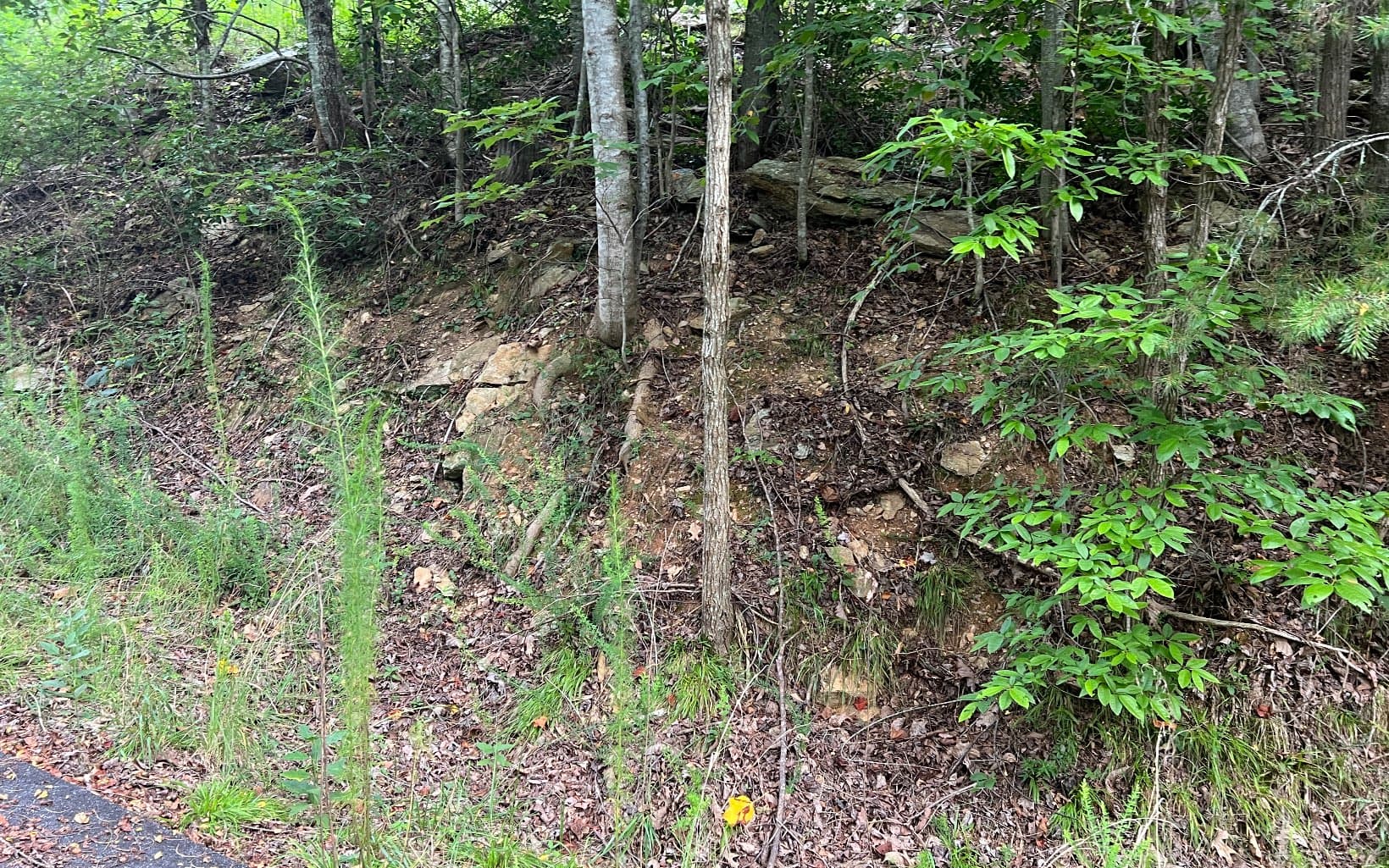 Lot 11 The Preserve At Beach Mountain, Brasstown NC 28902 - Photo