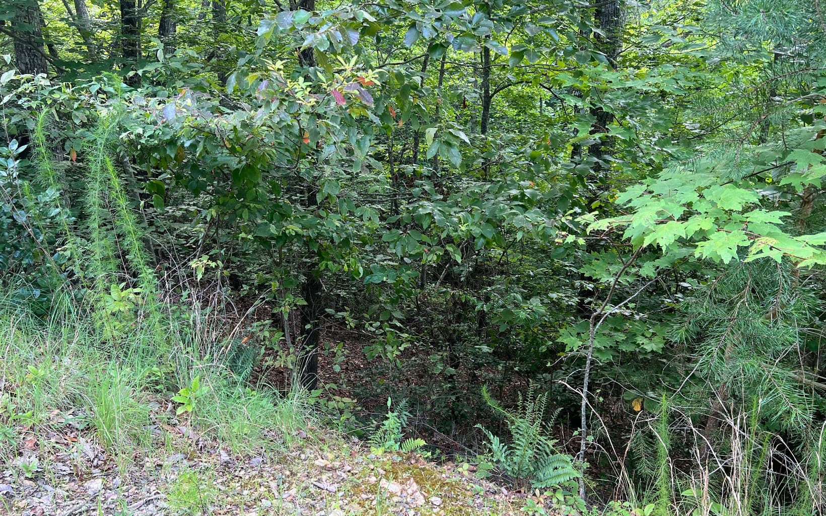 Lot 11 The Preserve At Beach Mountain, Brasstown NC 28902 - Photo