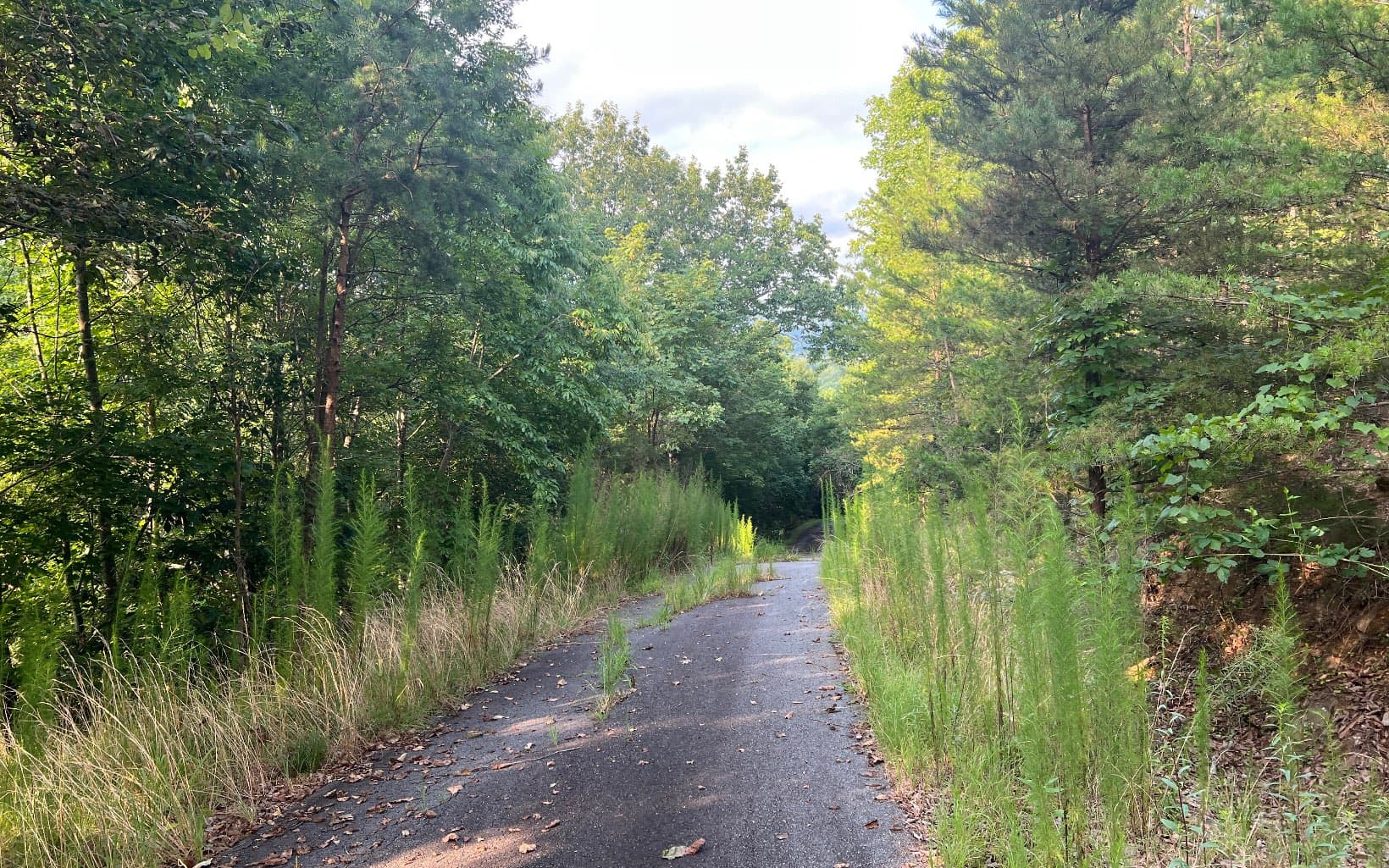 Lot 11 The Preserve At Beach Mountain, Brasstown NC 28902 - Photo