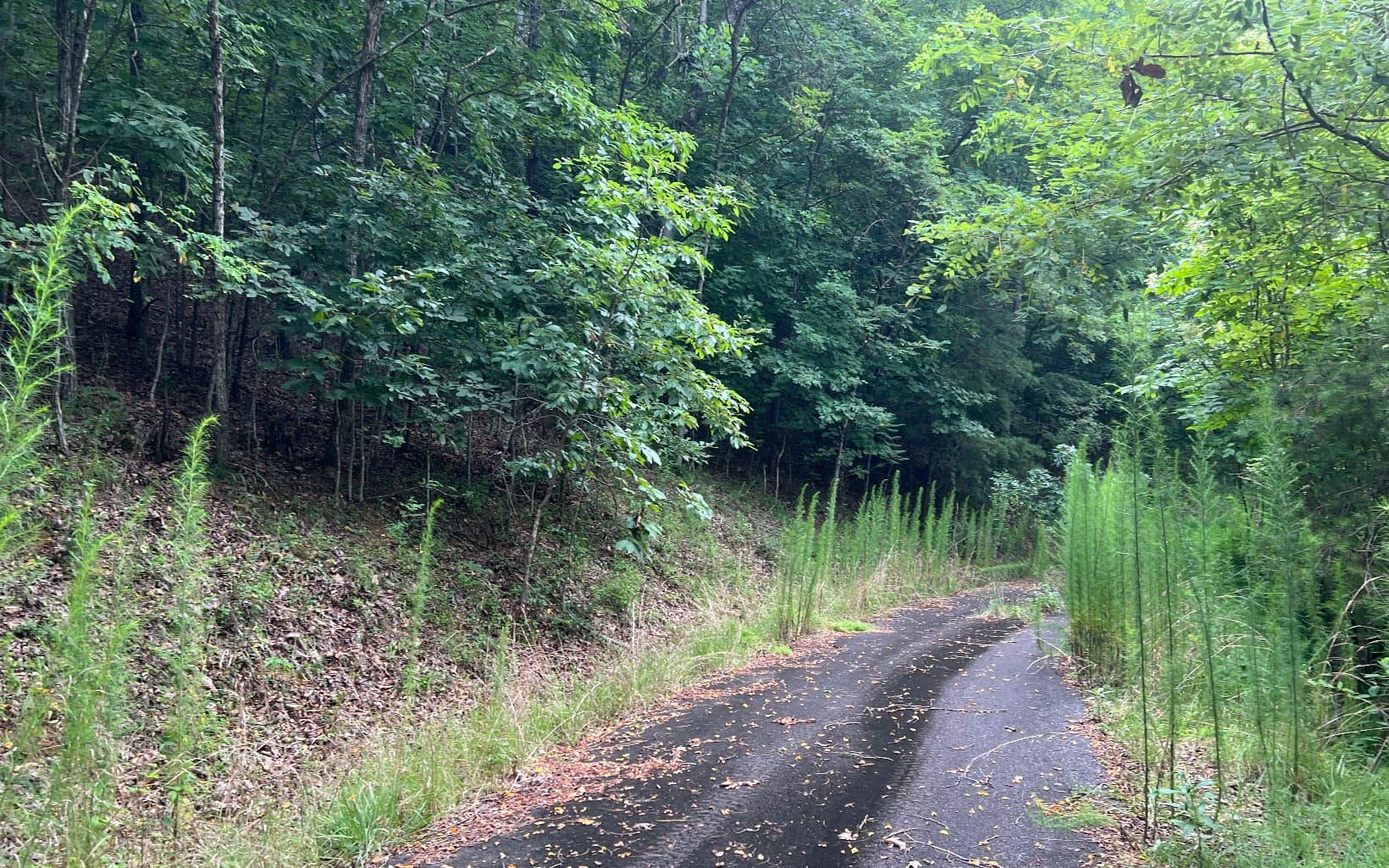 Lot 12 The Preserve At Beach Mountain, Brasstown NC 28902 - Photo